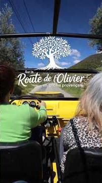 Idée road trip en Drôme Provençale : la route de l'olivier ! 🫒☀️