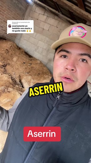 Manejo de Desechos en Cerdos: Aserrin y Remedios Caseros