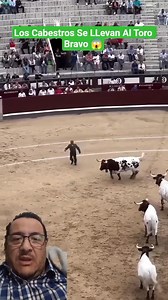Florito haciendo un trabajo impecable. #torosbravos #bullfigthen #spanish | TorosAmado