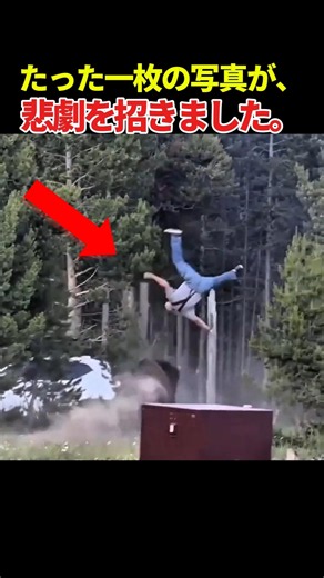 What happens when you underestimate wild animals. #BisonCharge #WildlifeWarning #shorts