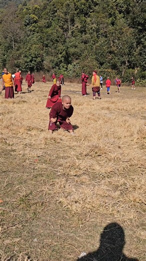 Saving the Goal: A Hilarious TikTok Attempt