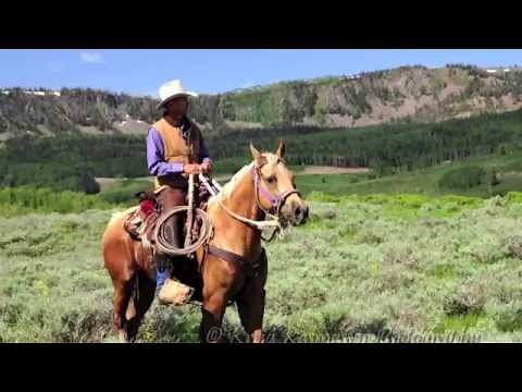 Welcome to Salina Utah! A Beautiful Place to Live and Enjoy Life.