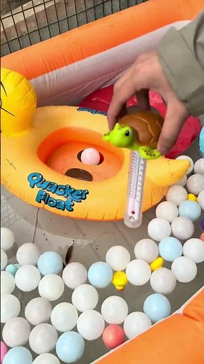 Unboxing and Use | Turtle Pool Thermometer 🐢