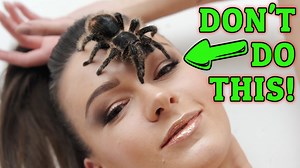 Have you ever found yourself on the receiving end of a tarantula's defense mechanism, resulting in a skin irritation caused by urticating hairs? Don't panic, as help is on hand in this must-watch video on first aid for tarantula urticating hairs. In this informative video, the host provides simple yet effective tips to alleviate the itching and swelling associated with urticaria. You'll learn about the benefits of rinsing the affected area with cold water, applying a cool compress, using anti-hi