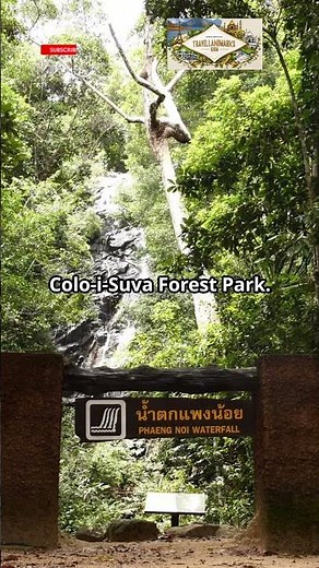 Suva: A Vibrant Blend of Tradition and Modernity #Suva #Fiji #TravelFiji #CapitalCity