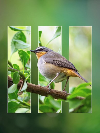 Photoshop 2025 Tips: Mastering the Clipping Mask Tool