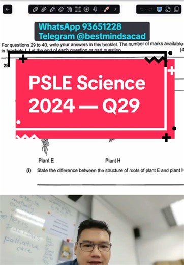 PSLE Science 2024 Q29 #primaryscience #sciencetuition #tiktoktutor #sg... | TikTok