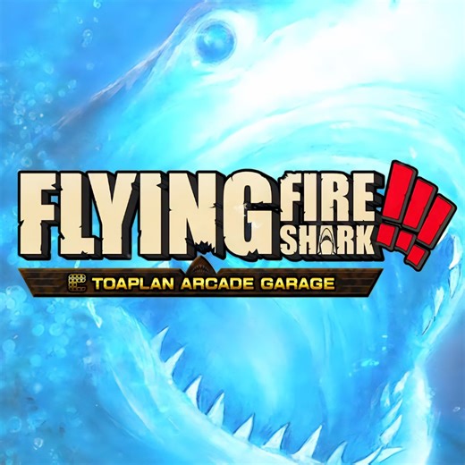 Toaplan Arcade Garage: Flying Fire Shark