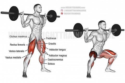 Barbell sumo squat exercise instructions and video | Weight Training Guide