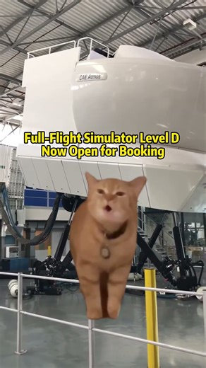Full-Flight Simulator Level D Now Open for Booking#aviation #plane #aircraft #pilot