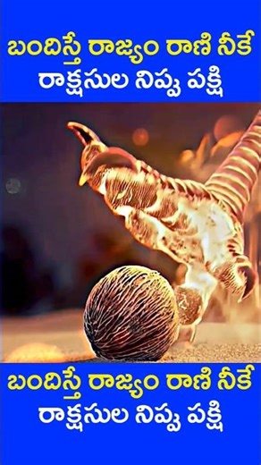 😲😭 మానవత్వం ఇవ్వని డబ్బు అనవసరం ❌ #factsintelugu #telugufacts #telugushorts #telugu #teluguvlogs