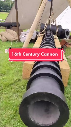 Fascinating Facts about Henry VIII's Mary Rose Cannons