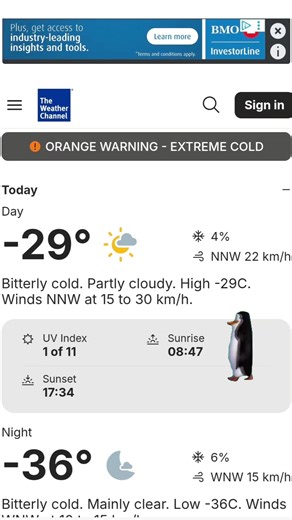 Bamski-Hockey Mom🇨🇦 (@bamski02canada)’s videos with original sound - Sherry