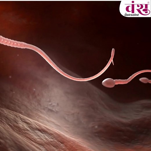 20K views · 19 reactions |  Vansh આયુર્વેદ – સંતાનપ્રાપ્તિ માટે...