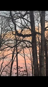 3.1K views · 28 reactions | All Things Walker County on Reels | Facebook