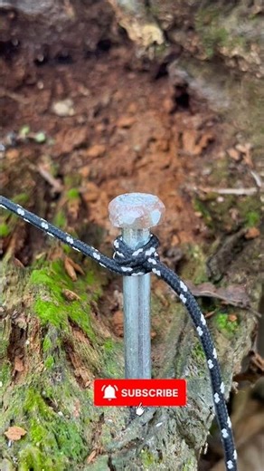 The Strongest Knot for Camping & Survival #shorts
