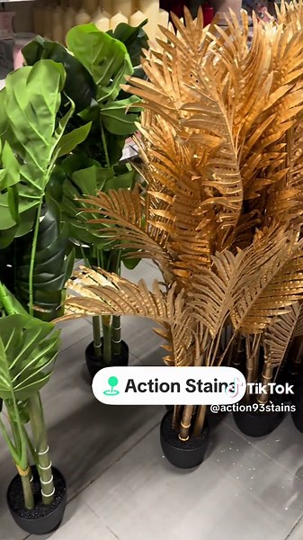Action France: Creative Decoration Ideas