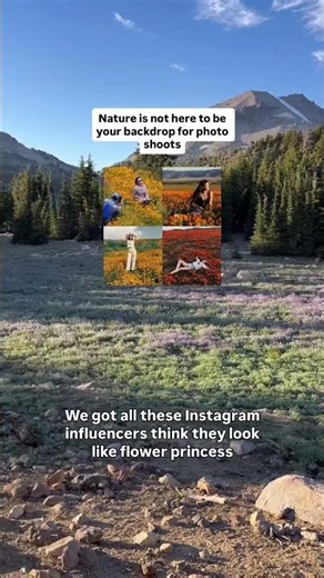 Social Media Influencers Are Destroying Endangered Native Wildflower Habitats - Don’t Doom The Bloom