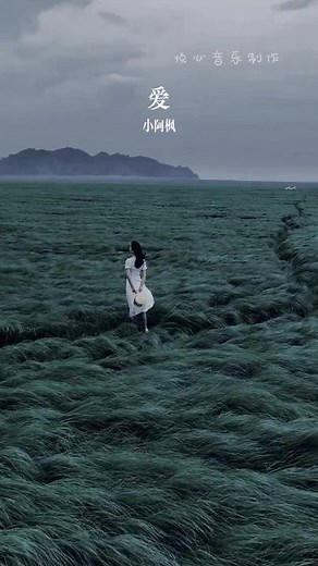 《爱》♡♡ #NonStopAntiNgedrop #fyp #mandarinsong