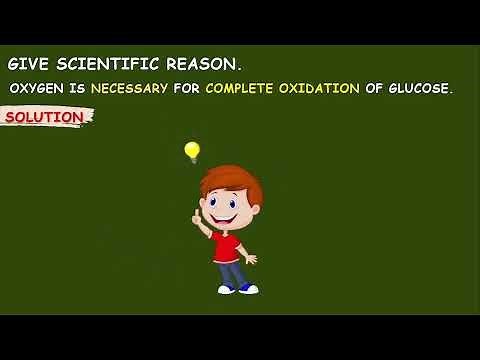 oxygen is necessary for complete oxidation of glucose explanation#life_processes_in_living_organisms