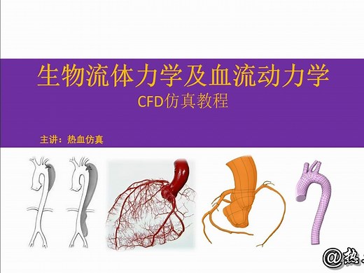 生物流体力学及血流动力学CFD仿真系列教程1-0前言介绍