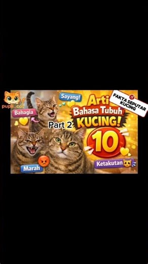 Bahasa Tubuh Kucing Part2 #pupil_cat #cat #ai #shorts #bahasatubuhkucing #kucing #shortvideo #fakta