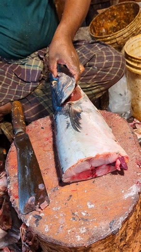 Amazing Giant Seer Fish Cutting Live In Fish Market | Fish Cutting Skill