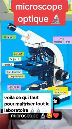 Maîtriser le microscope pour exceller en laboratoire