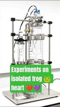 Experiments on isolated frog 🐸 heart ...#frog #acetylcholine #labexperiments #pharmacologylectures