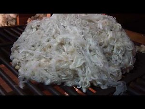 The Many Types Of Wool