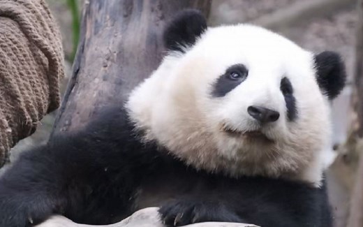 UPS不间断电源仿真