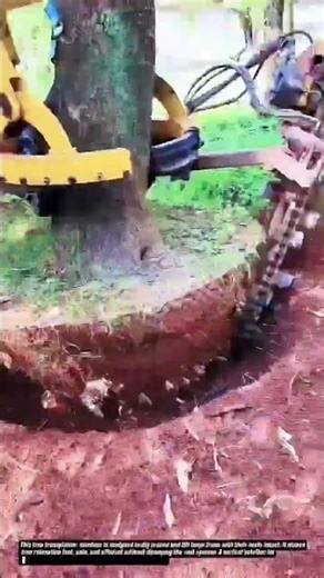 "Tree Transplanter Machine | Amazing Tree Moving Equipment"
