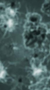 bacteria cells and virus under microscope, concept of microbiology, scientific and medical research, useful as background or intro animation (3d render)