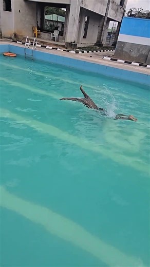 What do you feel when swimming butterfly?