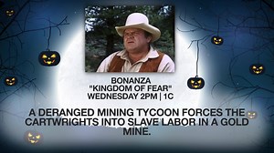 3.7K views · 43 reactions | This week on MeTV... | MeTV | Facebook