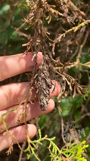 72 reactions · 8 comments | A few weeks ago I accidentally took down...