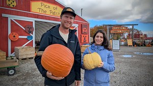 Fun fall activities at Benjamin Tree Farm