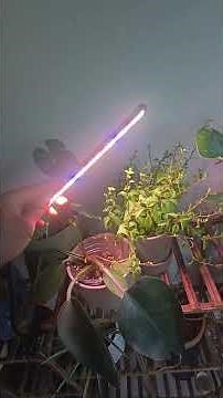Adjustable plant grow lamp