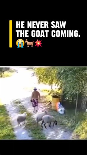 He Never Saw the Goat Coming… 😭🐐💥