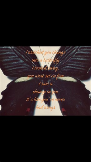 Transformation Reflected in Quotes