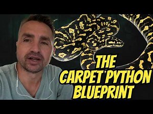The Carpet Python Blueprint: Species, Husbandry & Breeding Season Prep With Dom's Reptiles