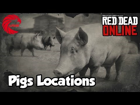 Pigs Locations rdr2 Online - Red Dead Online Pigs Location Guide
