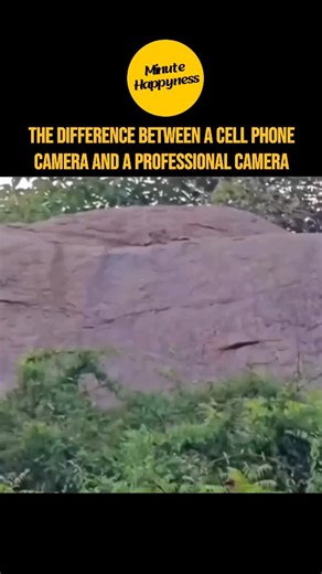 minutehappyness on Instagram: "Professional DSLR cameras boast expansive full-frame or APS-C sensors paired with premium, interchangeable lenses that excel at gathering abundant light and resolving intricate details. This optical superiority delivers razor-sharp images, richly saturated colors, expansive dynamic range to handle high-contrast scenes, and authentic shallow depth of field for that creamy bokeh effect, elevating everyday shots to breathtaking, lifelike artistry. In contrast, smartph