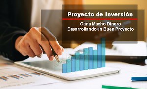 Como Desarrollar un Proyecto de Inversión