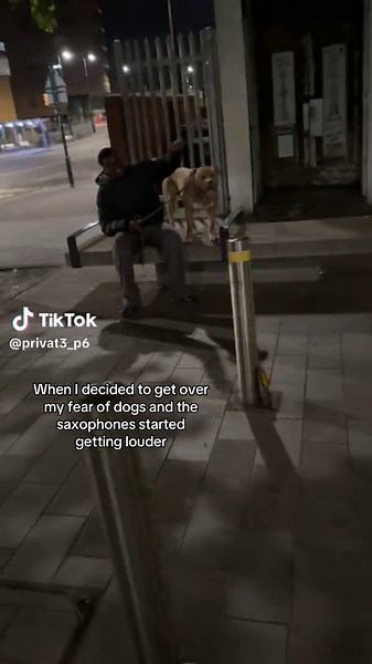 Overcoming Fear of Dogs: A Relatable Summer Story