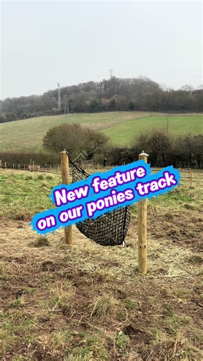 Understanding Track Systems for Horse Yards