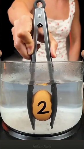 Perfect Egg Boiling Guide #shortvideo