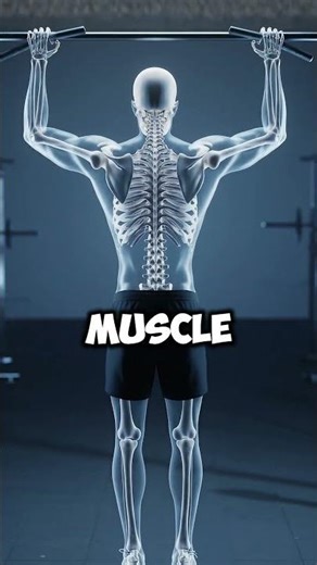 Train These 2 Muscles to Look Massive in a T-Shirt