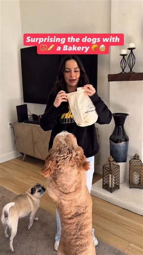 🥯🥨 IT’S BREAD!!! 🥖🥐 The pups loved their Christmas gift from Aunt Nessa 🥹 | Merrell Twins