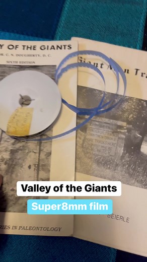 1.2K views | Newly discovered Super 8mm footage from the 1975 Paluxy River excavation of Giant man and dinosaur tracks. #super8 #paluxyriver #glenrose #gianthumans #mantracks | Lost World Museum | Facebook